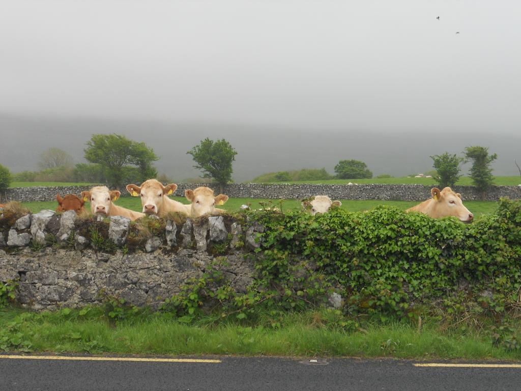 Cappabhaile House Ballyvaughan Rum bild
